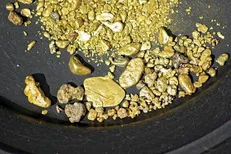 محیط زیست قروه در جریان نتیجه نمونه‌برداری نشت سیانور از معدن طلاى سارى‌گونى است / اجازه اعلام نداریم!