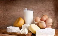روزانه چقدر لبنیات می‌توانیم مصرف کنیم؟