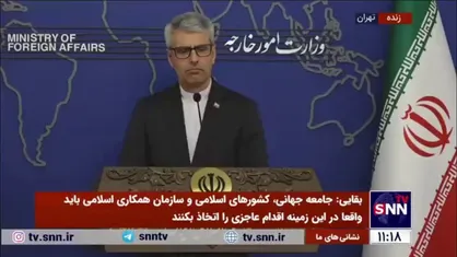 بقایی: استفاده از مکانیسم ماشه تبعات و آثاری دارد که قطعاً متوجه طرف&zwnj;های مقابل هم خواهد شد