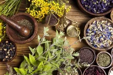 فرصت اخذ درس «آشنایی با طب ایرانی و مکمل» برای دانشجویان تمدید شد