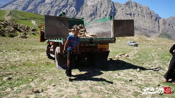 جهادی