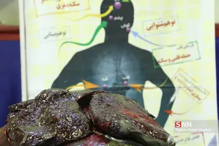 جدید