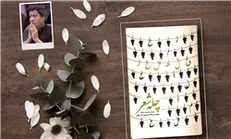 رونمایی از کتاب «چله شعر» در ایام برگزاری نمایشگاه بین المللی کتاب تهران