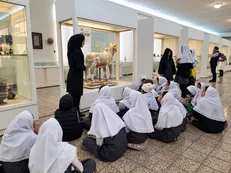 تأکید وزیر میراث بر الزامی شدن تدریس فرهنگ و تمدن آذربایجان / کشف آثار ۹ هزار ساله در قلعه بختک لیلان
