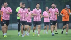 بررسی شرایط پرسپولیس در قرنطینه؛ فعلا از تمرین خبری نیست