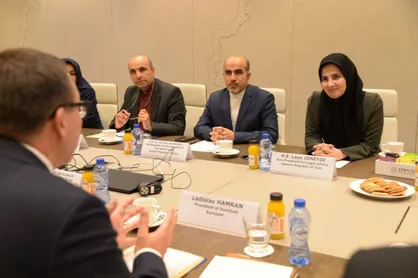 دیدار معاون حقوقی رئیس جمهور با رئیس سازمان همکاری قضائی اتحادیه اروپا
