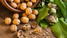 با خواص و مضرات گردو آشنا شوید