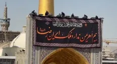 ببینید|کتیبه حرم مطهر به مناسبت شهادت امام رضا (ع) تعویض شد