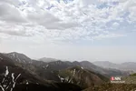 پرسون