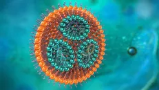 کدام ذرات لیپیدی شاخه‌دار برای تولید واکسن بهتر هستند؟
