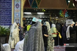 دبب