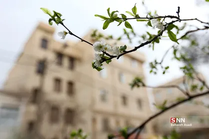 چند قدم مانده تا بهار
