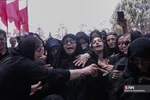دبب