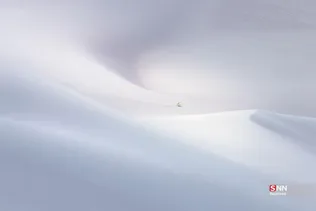 546456