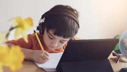 دانش آموزان قربانیان آلودگی هوا/ آثار مخرب آموزش مجازی چیست؟