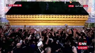 طواف ضریح نورانی حضرت علی (ع) / حضور پرشور زائران اربعین حسینی در حرم مولا امیرالمومنین(ع)