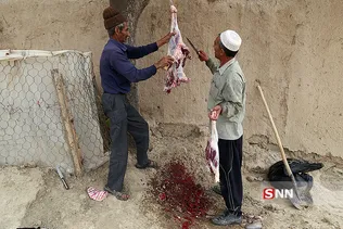 جرگلان