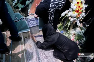 دبب