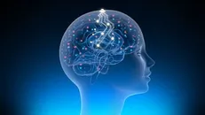 توسعه فناوری کاشتنی‌های مغزی با ۱۰ طرح در حال اجرا