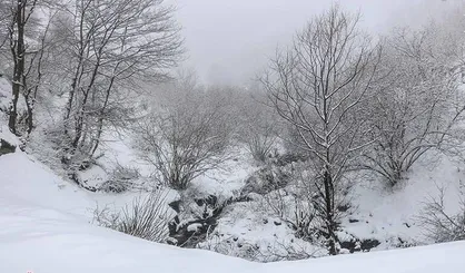 برف و کولاک مهمان گیلانی&zwnj;ها می&zwnj;شود