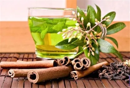 ۳۹ طرح کامل کارآفرینی صنعت گیاهان دارویی در دسترس قرار گرفت