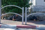 فلسطین