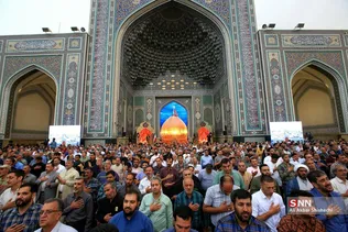 دبب