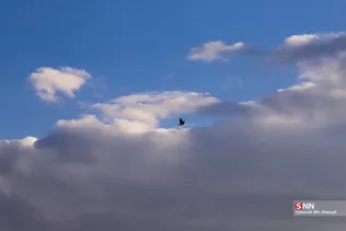 89879