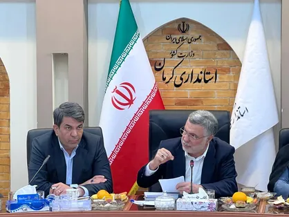 افغانستان جلوی ارسال مواد اولیه تامین دارو&zwnj;های مسکن را به ایران گرفته است/ نیازمند تصویب قانون برای کشت گیاهان مخدر هستیم