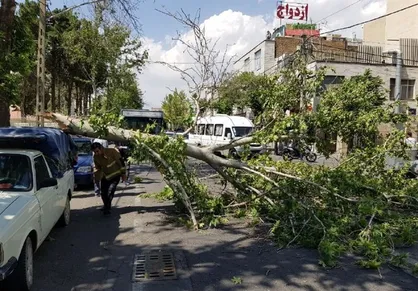 هشدار هواشناسی برای تهران/ وزش باد شدید و خطر شکستن درختان
