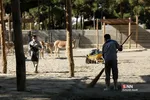 باغ وحش ارم سبز 