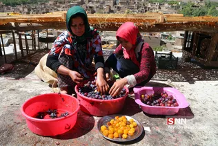 روستای خرو