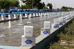 رزمایش احسان امام خمینی