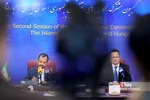 سیلذ