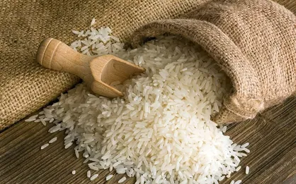 شرط وزارت جهاد کشاورزی برای واردکنندگان برنج