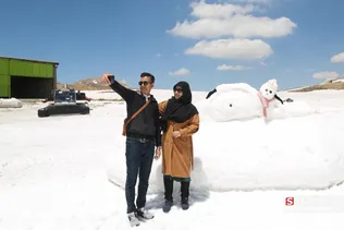 دبب