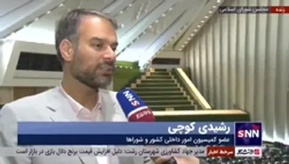 عضو کمیسیون امور داخلی کشور و شوراها: انحصار خودروسازان باید با واردات خودرو شکسته شود
