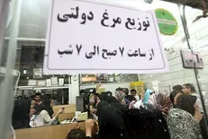 دلار جهانگیری همچنان قربانی می‌گیرد/ بازار مرغ در آشوب نهاده ۲ نرخی و توزیع فاجعه‌بار نهاده دولتی