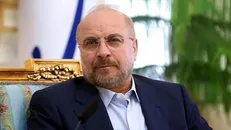 قالیباف: آیت‌الله ری‌شهری نقش بسزایی در قوام امنیت کشور داشت