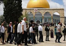 فراخوان حماس در حمایت از مسجدالاقصی مقابل توطئه اشغالگران