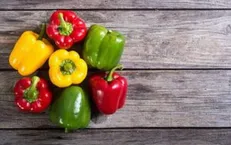 برای تقویت سیستم ایمنی بدن چی بخوریم؟