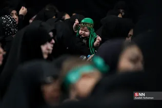 دبب