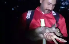 نجات بره مرال از دل آتش در پارک ملی گلستان