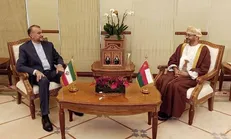 حل و فصل موضوعات باقیمانده در وین منوط به اراده طرف آمریکایی است