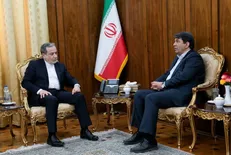 اعلام آمادگی وزارت امور خارجه برای حمایت از برنامه‌های بین‌المللی استان کرمان