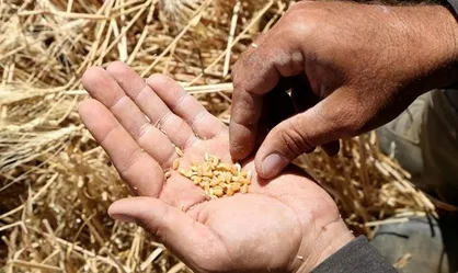 پیشنهاد ۷۰۰۰ میلیارد تومان برای تقویت صندوق بیمه کشاورزی