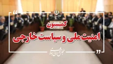 بیانیه کمیسیون امنیت ملی و سیاست خارجی: به آژانس اعتمادی نداریم / وزارت خارجه و سازمان انرژی اتمی به قانون مجلس عمل کنند