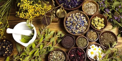 اخذ مصوبه ۴ فرآورده طبیعی برای بهبود علایم بیماری کرونا