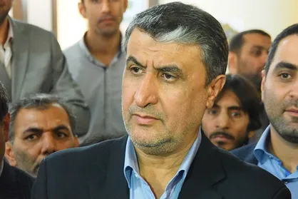 انتقاد از عدم ترخیص کامیون&zwnj;های دست&zwnj;دوم/ اسلامی: ماموت قرارداد تولید کامیون را اجرا نمی&zwnj;کند