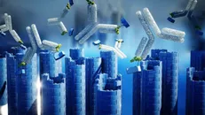 محققان راهبردی برای تولید نانوساختار با استفاده از آنتی‌بادی ارائه کردند